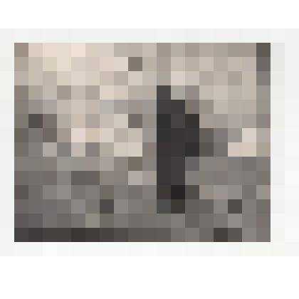 Фото/чб. Костин И.С., директор ВОЛЖНИИГИМ (ЭОМС) на субботнике. Энгельс. 1970-е