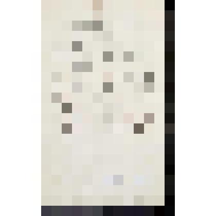 Водолазы. Иллюстрация