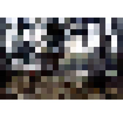 Диапозитив. Парк. (322)