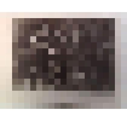 Фотоподборка "И.В.Сталин в произведениях живописи художников Грузии". «Товарищ Сталин и Хашим»