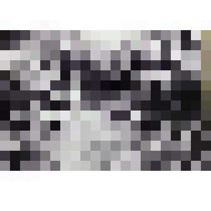 Лето в Алабино