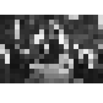 Фото групповое