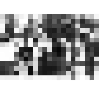 Фото групповое