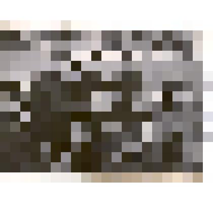 Фотография: Подшивайлов Денис Протасович на встрече с курсантами