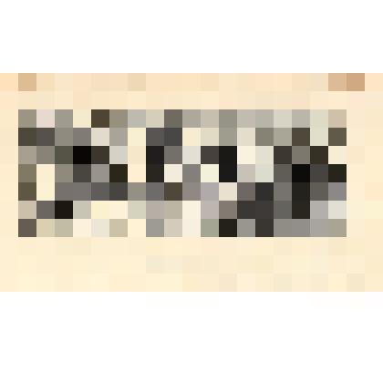 Лист 13. «Сатира». Гравюры к сборнику «Леся Украинка. Избранное».1954