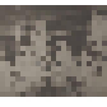 Негатив. Политзанятия в 305 гвардейском минометном полку моряков. Снимок групповой, периода Великой Отечественной войны