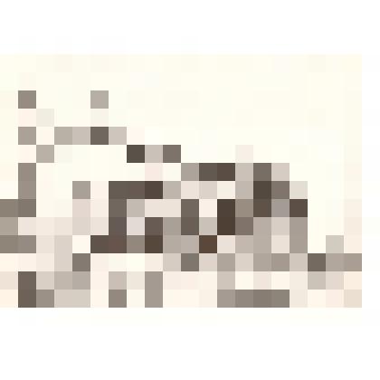 Фотография: встреча первого поезда на станции Камень