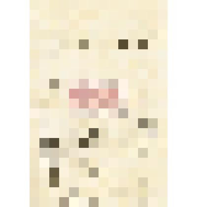 Письмо В. С. Корженевского И. М. Мартьянову с уведомлением об отправке образцов кварца