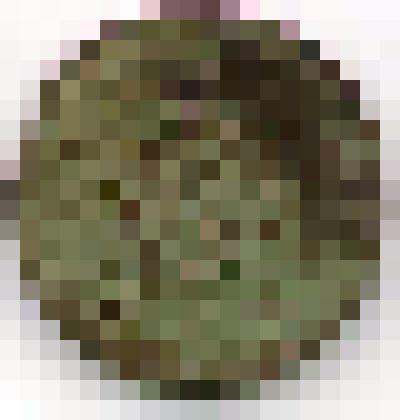 Монета. Российская империя