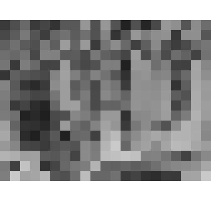 Большой дворец. Парадная лестница. Верхняя площадка. Вид на восточную стену