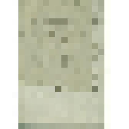 Дело Сиротского суда по опеке над имением вдовы Марьи Пьянковой и ее малолетних детей