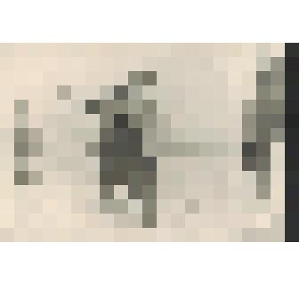 Фотография. Командиры 80 стрелкового корпуса на рекогносцировке перед штурмом Берлина.1945 г