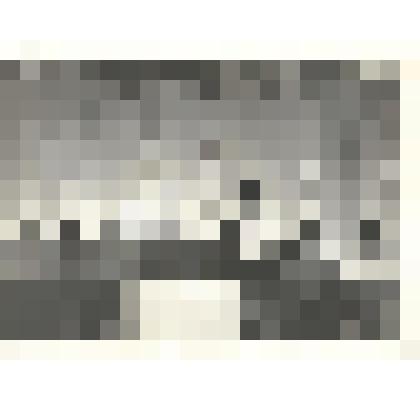 фотография. Во время собрания. Президиум