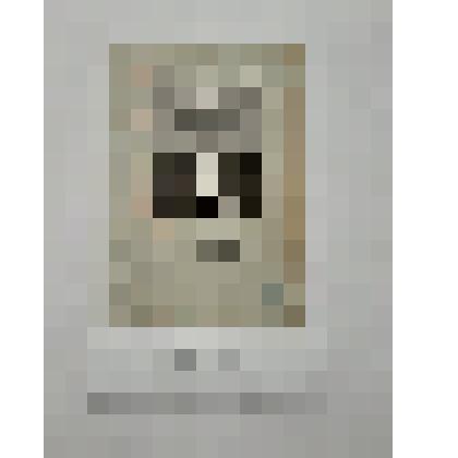 Фотография (черно-белая) портрет, поясная Савченко Николай Иванович