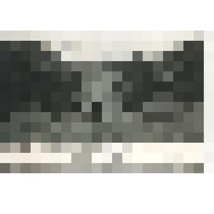 Открытка. Л.Н.Толстой на прогулке верхом.Репродукция с фотографии В.Г.Черткова.Ясная Поляна, лето 1905 г