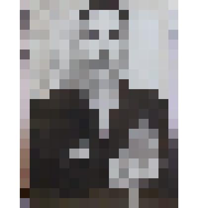 Фотография. Ильинский Анатолий Апполонович - ветеран войны