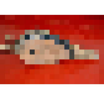 Кузнечный мех для раздувания огня