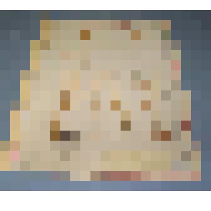 Ботаническая коллекция. Лук, семейство лилейные, на гербарном листе, Красноярский край, окрестности села Каратуз, залежь. Cем. Liliaceae Alliub Tenuissium L