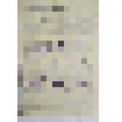 Анкета раскулаченного гражданина Унжакова Евгения Ивановича