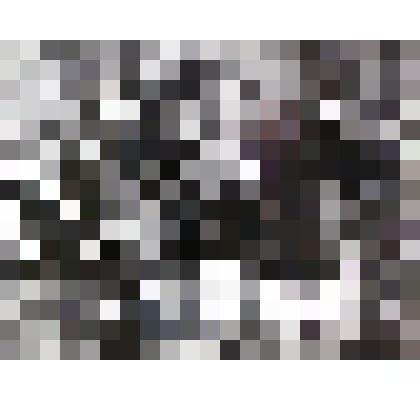 Фотография "У Вечного огня"