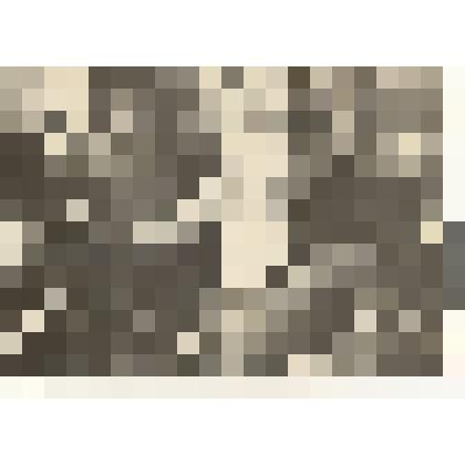 Фотография: Колягин Николай, слесарь ремонтной мастерской колхоза им. XX партсъезда, член ВЛКСМ