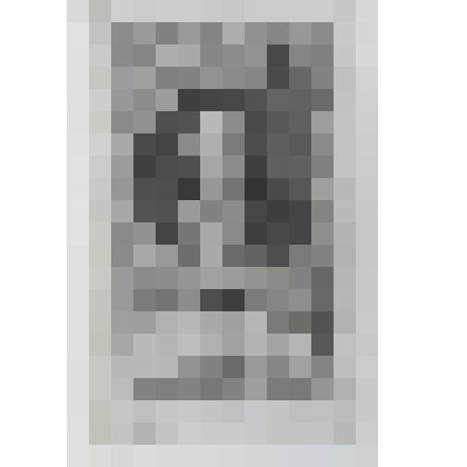 Портрет Кристофа Гиртаннера