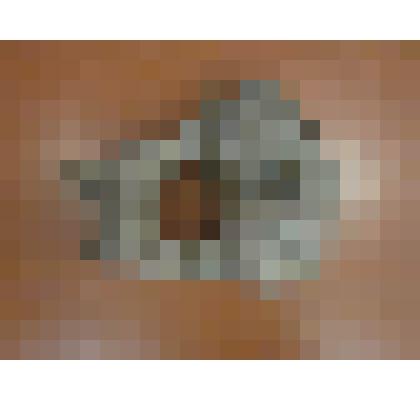 Второй шейный позвонок мамонта