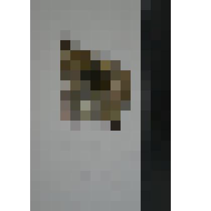 Сосуд. Фрагмент