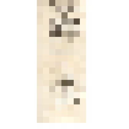 Фотокопии листов рукописной тетради И.С. Никитина, в которую Никитиным переписаны "Думы" Рылеева и др. произведения. Лист 27