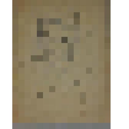 Портрет Б. Козанцева