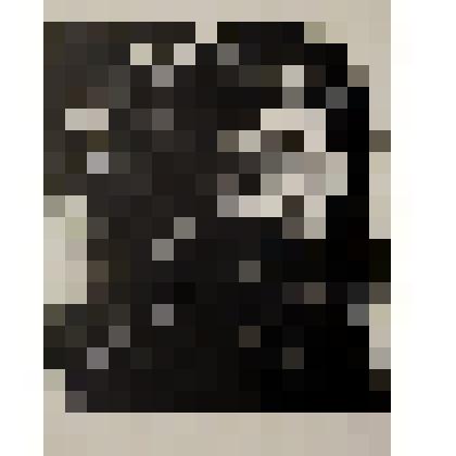 Герасим Фейгин