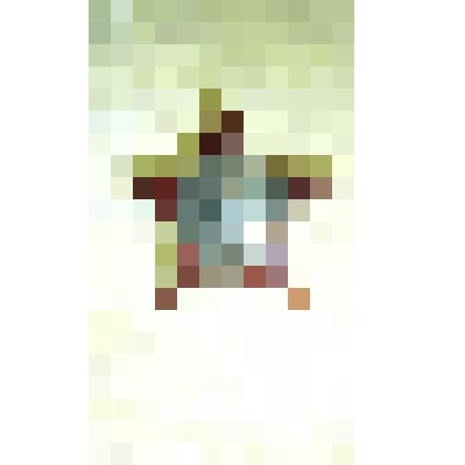 Орден Красной Звезды на имя Леушина Семёна Георгиевича № 358314