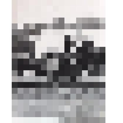 Фотография. Фрагмент выступления Павла Андреевича Приходько перед пенсионерами