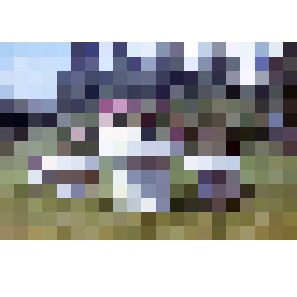 Диапозитив. Бульвар. (140)