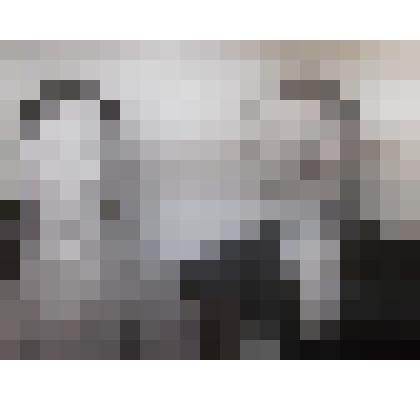 фотография  ч/б Ефтей Долгов с женой