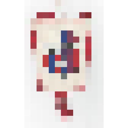 Знамена, флаги и вымпела. Вымпел памятный TJ SOKOL Drachkov