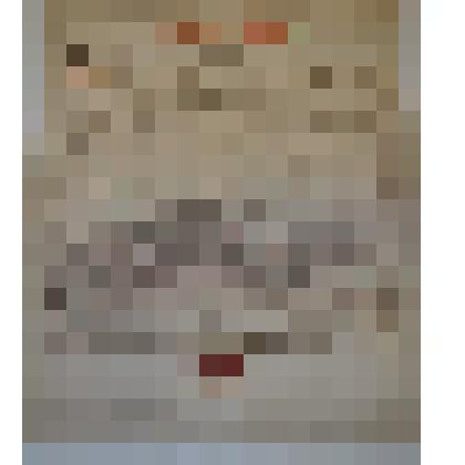 Прошение священника Преображенской церкви Иоанна Петрова к епископу  Великоустюгскому  и  Тотемскому  Иоанну