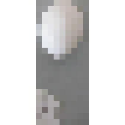 Вертишейка. Фазановые, Дятловые. Из коллекции птичьих яиц