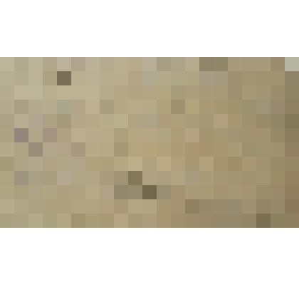 Справка № 95 Беседину Тихону Федоровичу