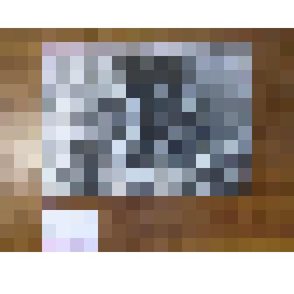 Фотография Коллектив РОНО на уборке картофеля в поле, с. Туринская Слобода