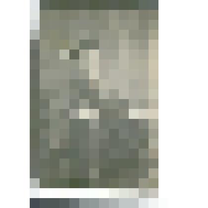 Фотография: Торопов Николай Федорович, участник Великой Отечественной войны