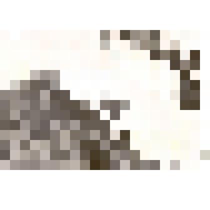 Фотография: строительство нового жилого массива по улицам Гоголя и Ленинградской в г.Камень-на-Оби Алтайского края