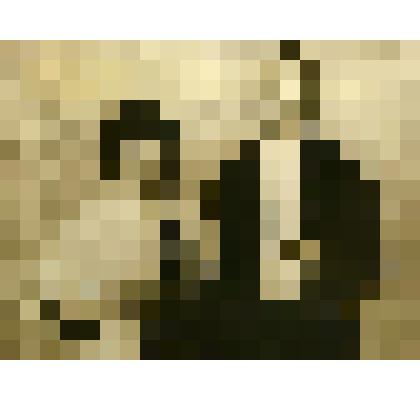 Фотография. Лауреаты международного конкурса скрипачей им. Изаи в Брюсселе, орденоносцы Лиза Гилельс и Давид Ойстрах