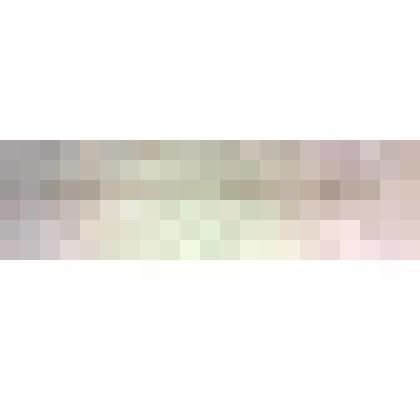 Кисть художественная Киреева П.П