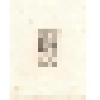 Гравюра. Неизвестная принцесса