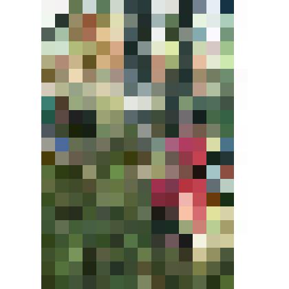 Фотография. Детство