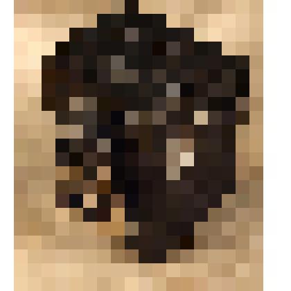 Фотоаппарат «Любитель 166 В», из коллекции предметов быта от сотрудников Саратовского областного музея краеведения