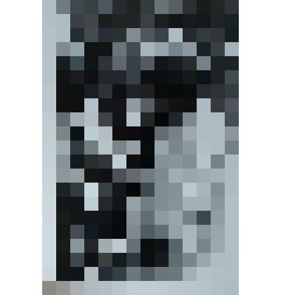 Фотография черно-белая с изображением художника Долженко Ф.Н. со спины