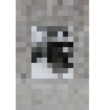 Фотография ч/б. Шмаков Федор Иванович на центральной площади г. Грязовца во время мероприятия, посвященного празднованию Дня Победы