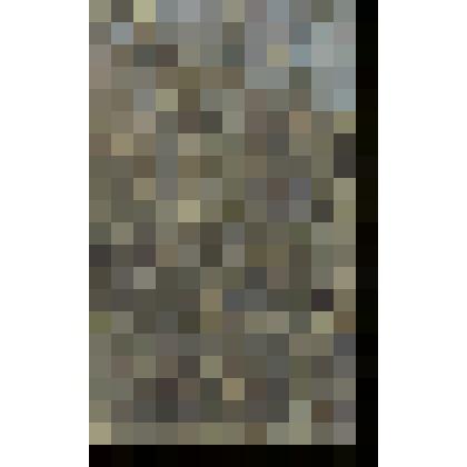 Пейзаж с тополями